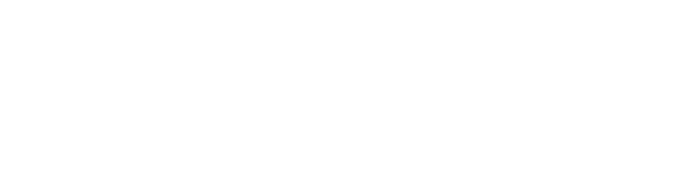 ProServNZ. Renovate. Repair. Maintain